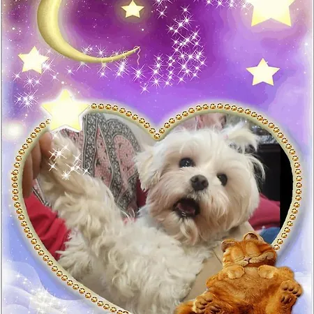 Casa Do Lucio Rianjo