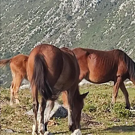 Kwatera prywatna Casa Do Lucio