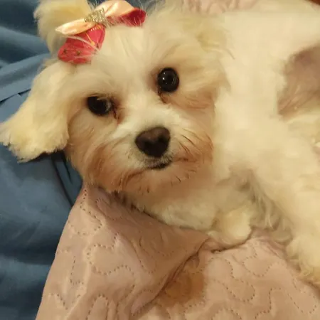 Casa Do Lucio Kwatera prywatna