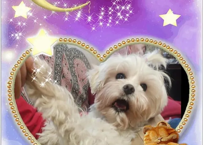 Casa Do Lucio Rianjo