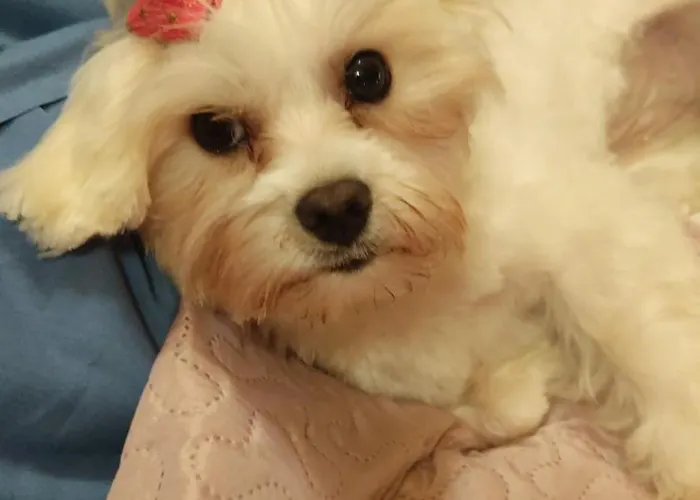 Casa Do Lucio Ubytování v soukromí